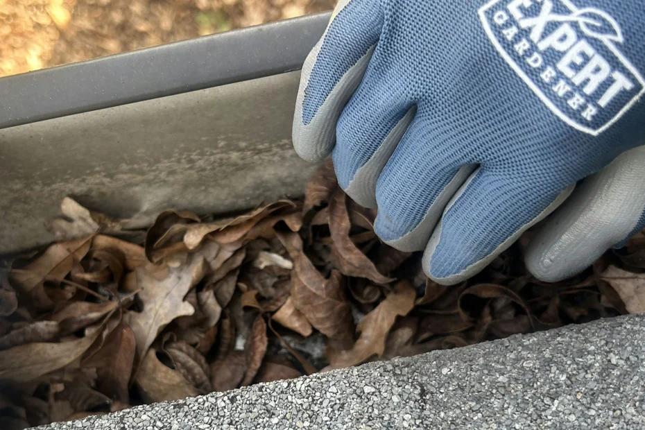 Gutter Cleaning Ashland