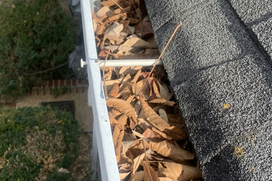 Gutter Cleaning Ashland